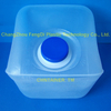 Réactif immunoanalyzer emballage Cabitainer 10 litres